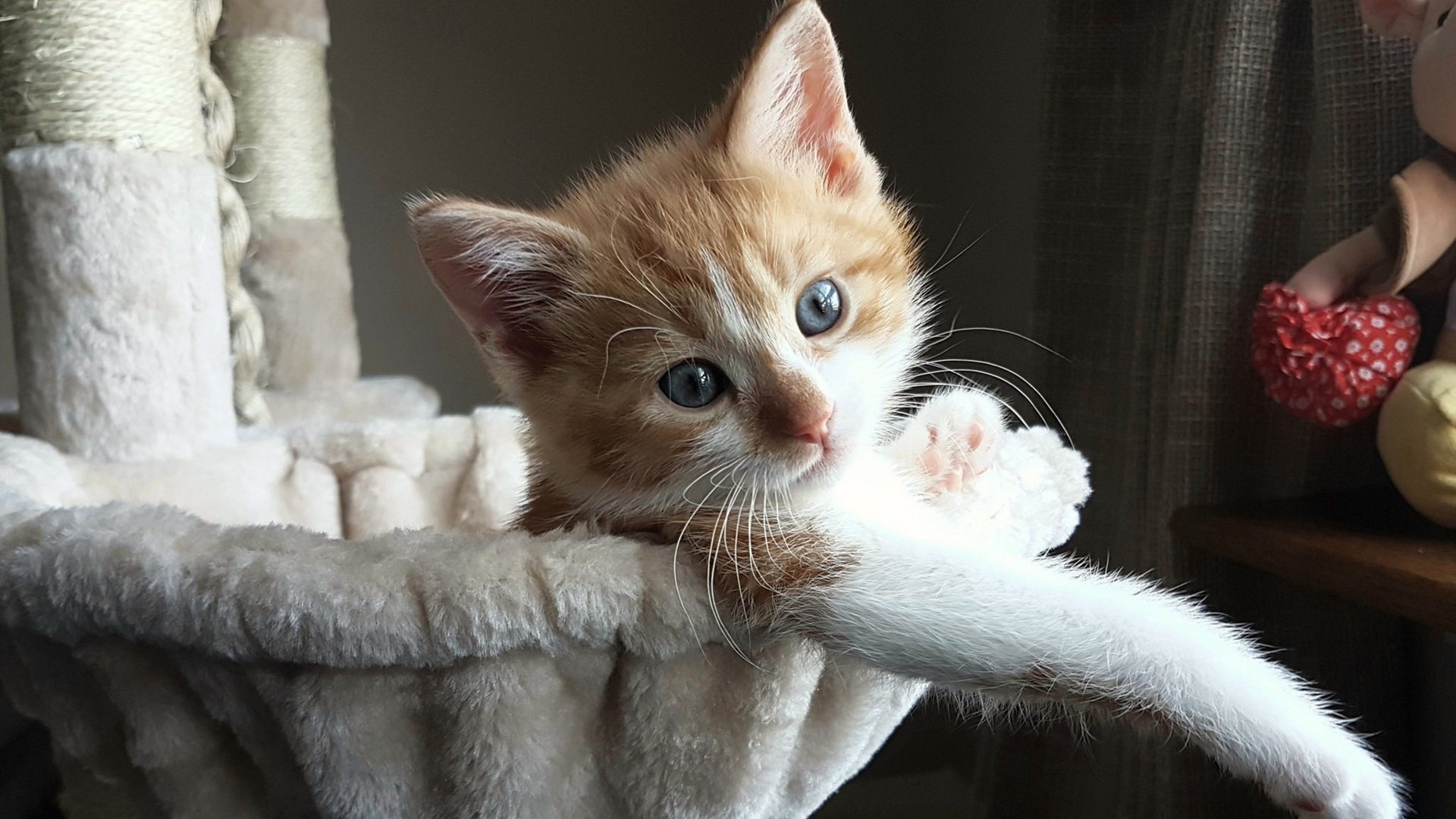 开云-一秒的永恒，西决生死战之夜，伊萨克与那座被照亮的城市