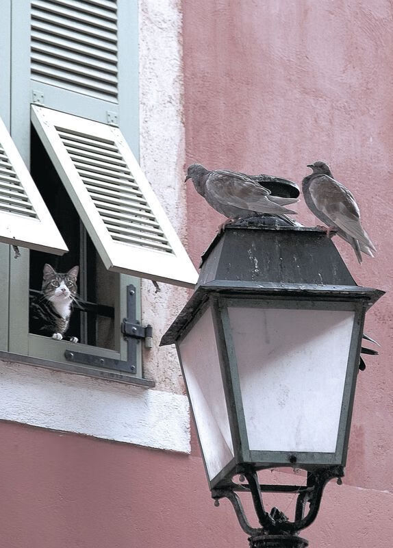 终场哨响前30秒，无名英雄赖斯一球封神！塞内加尔绝境斩落南非背后的关键先生